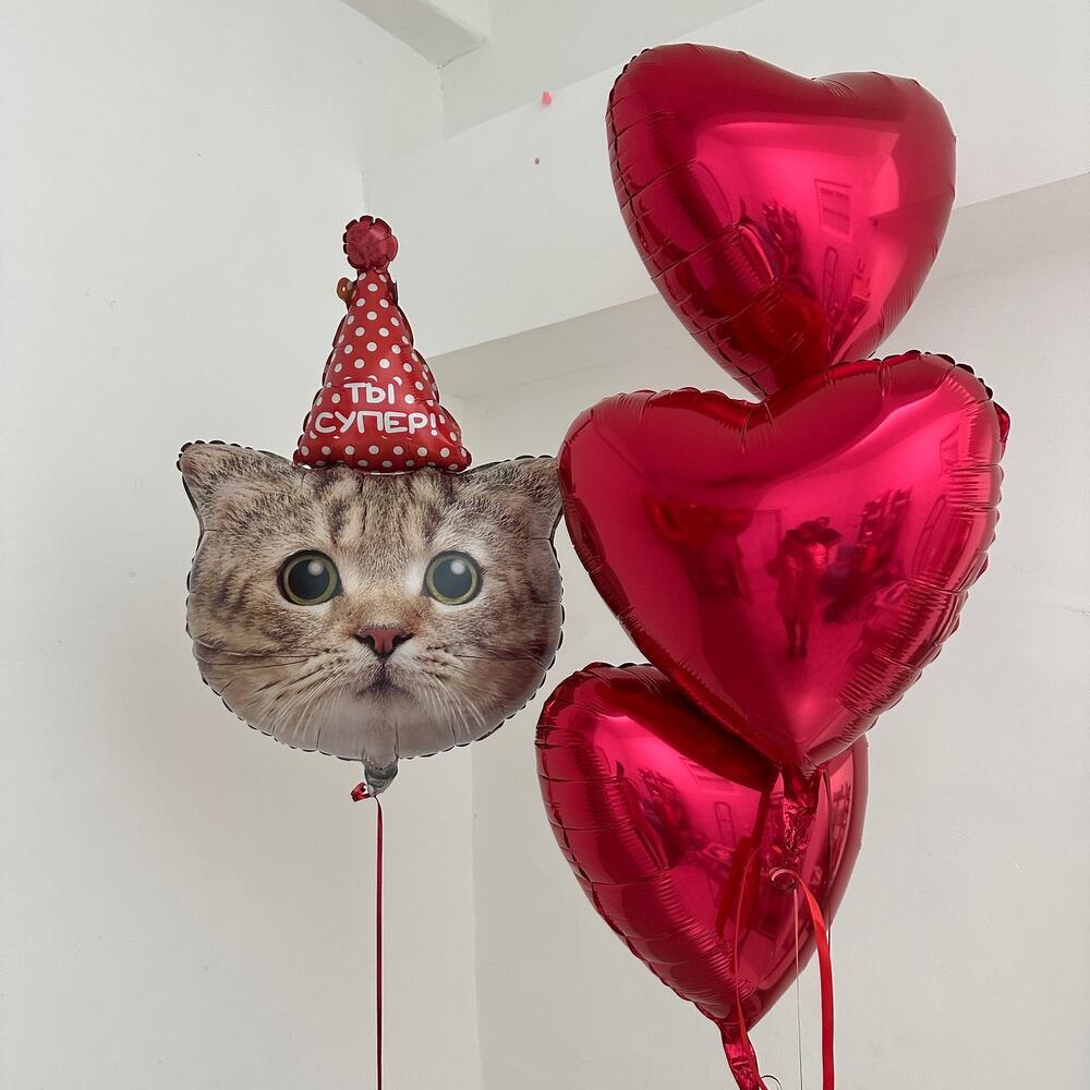 Шарики сердечки и котик