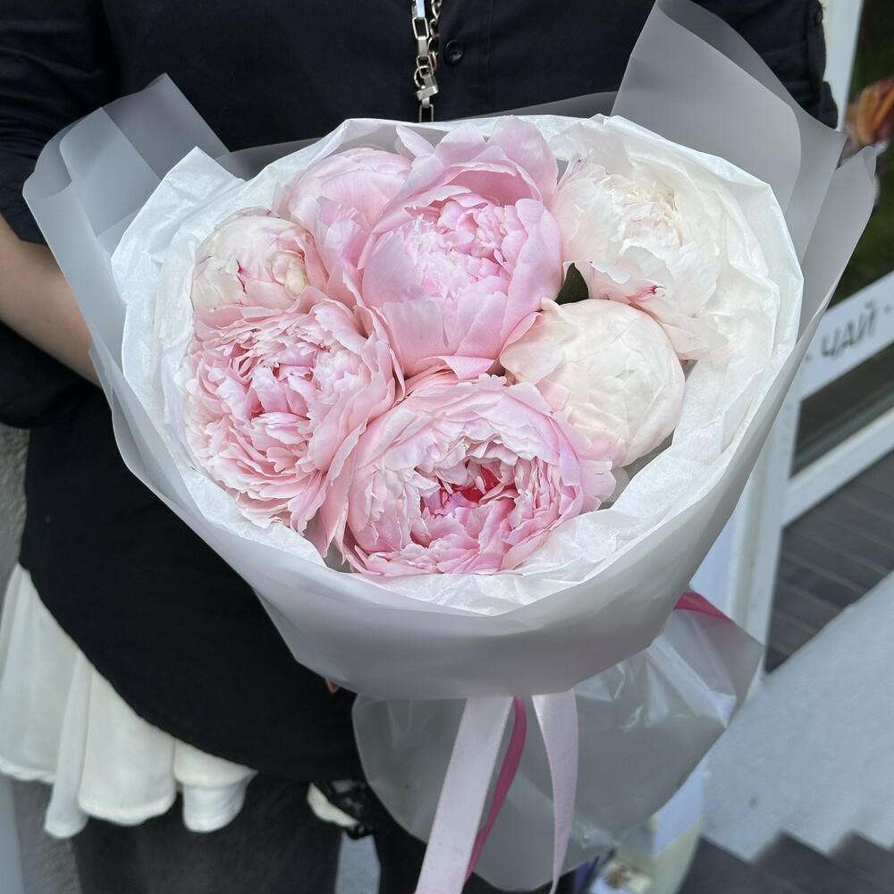 Букет пионов Сара 7 шт🌸