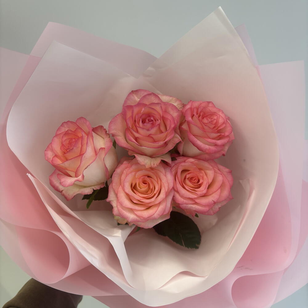 Комплимент Роза Джумилия 5