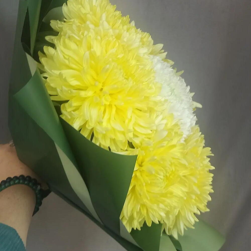 Яркое солнце