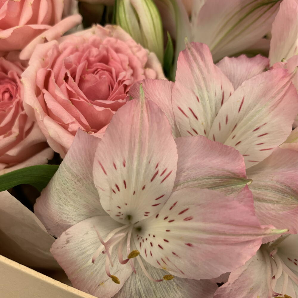 Букет комплимент🩷🌸