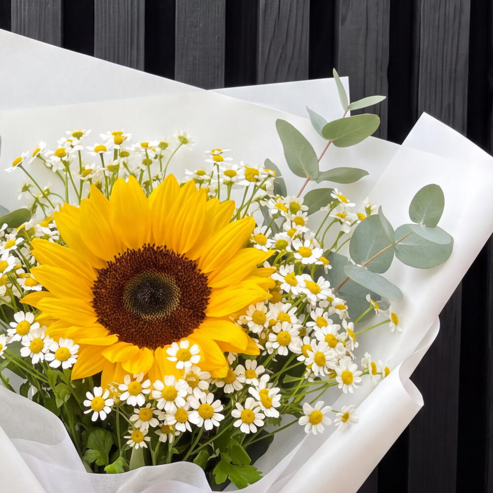 Солнце 🌻