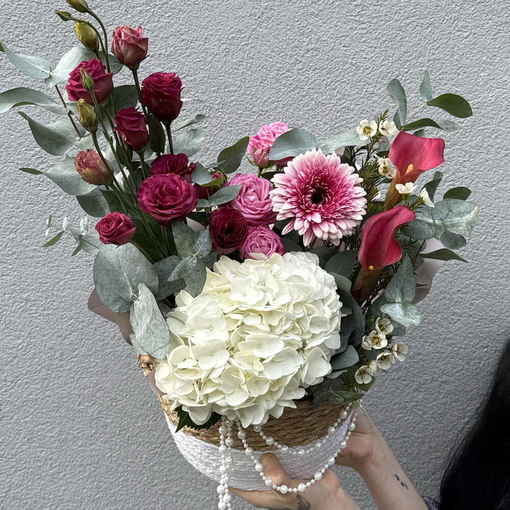 Мини Аристократка