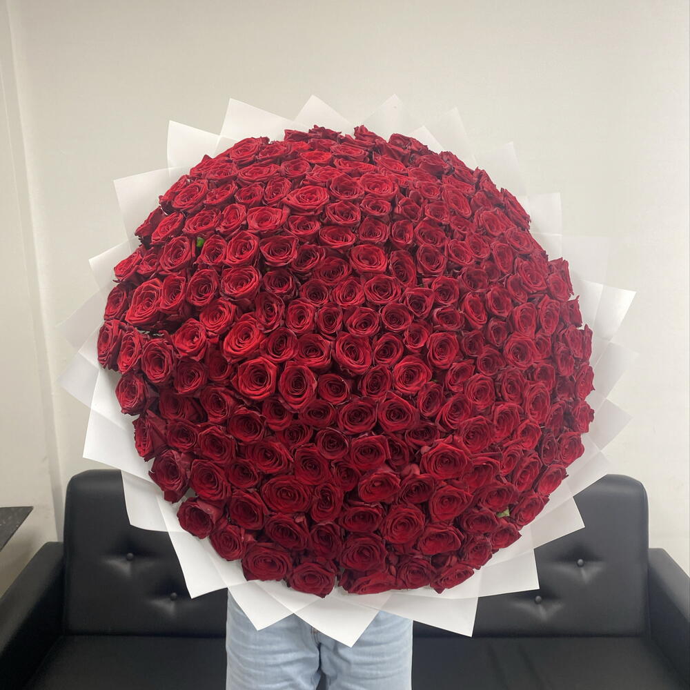 Красные розы 201шт🌹🌹🌹