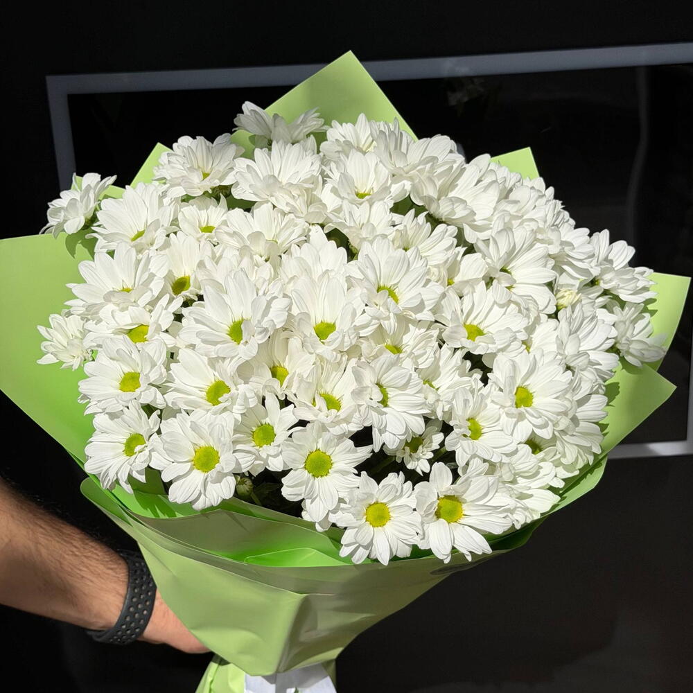 Pure Bloom 🤍