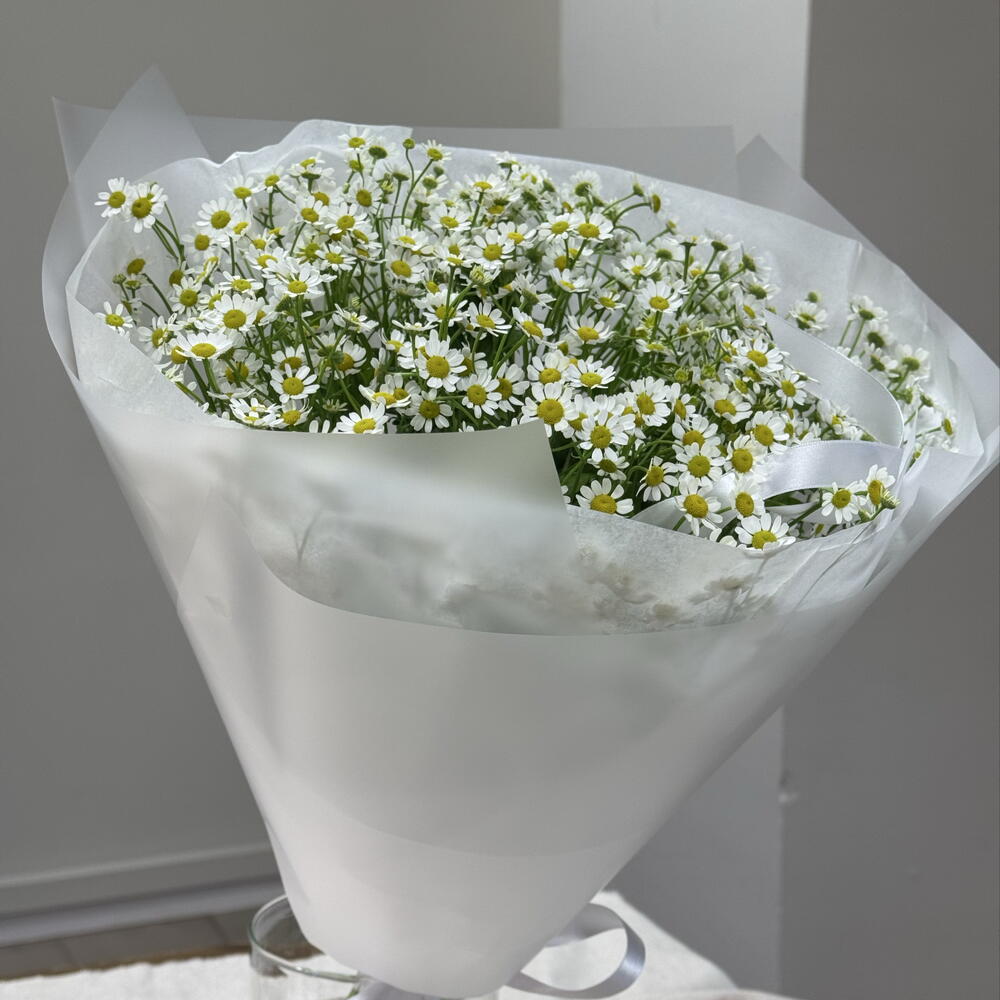 Ромашки