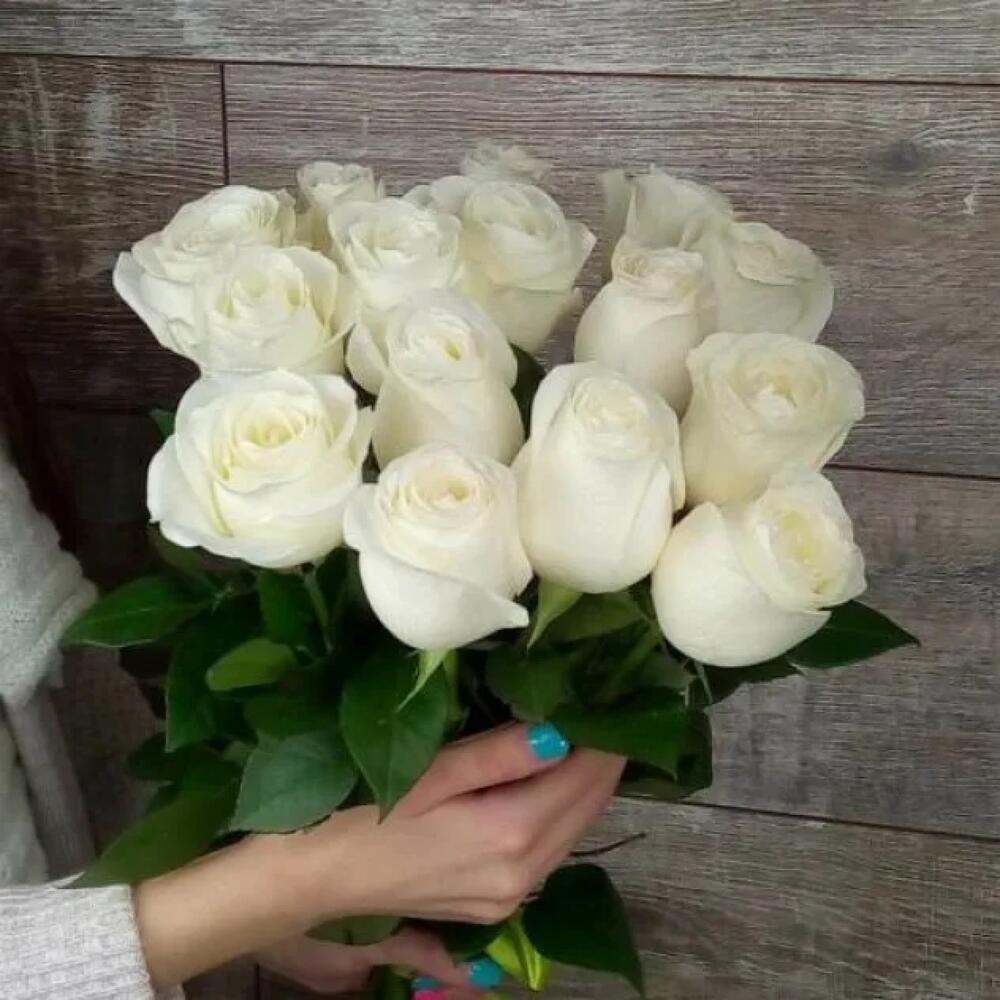 Розы майкоп. Эквадорские белые розы. Букет 15 белых роз. Букет "Эквадорские белые розы".