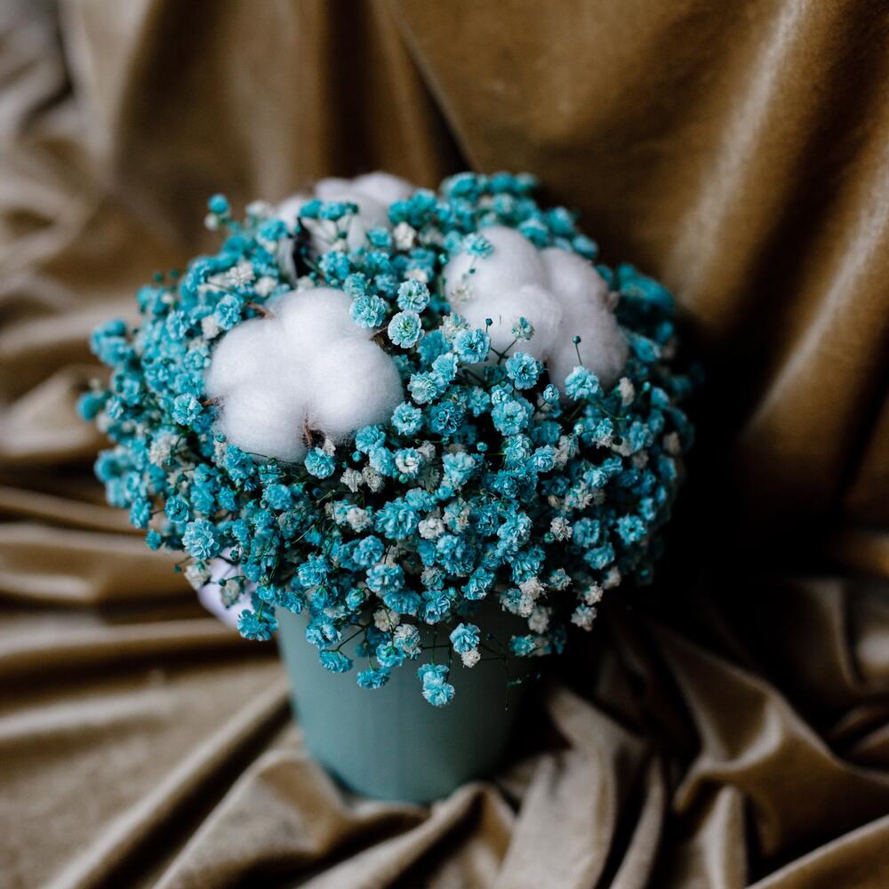 Гипсофила в стаканчике, Цветы и подарки в Москве, купить по цене 2300 ...