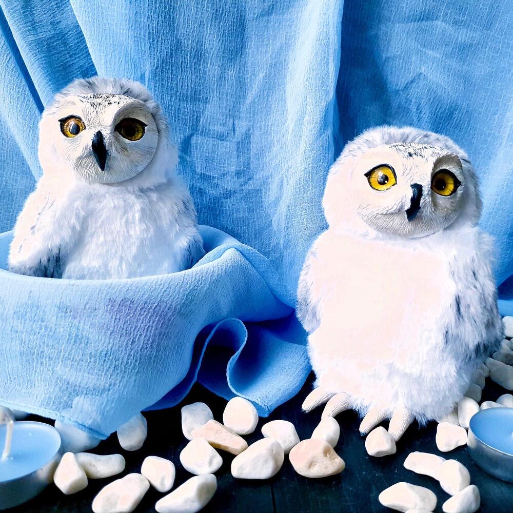 Полярная сова