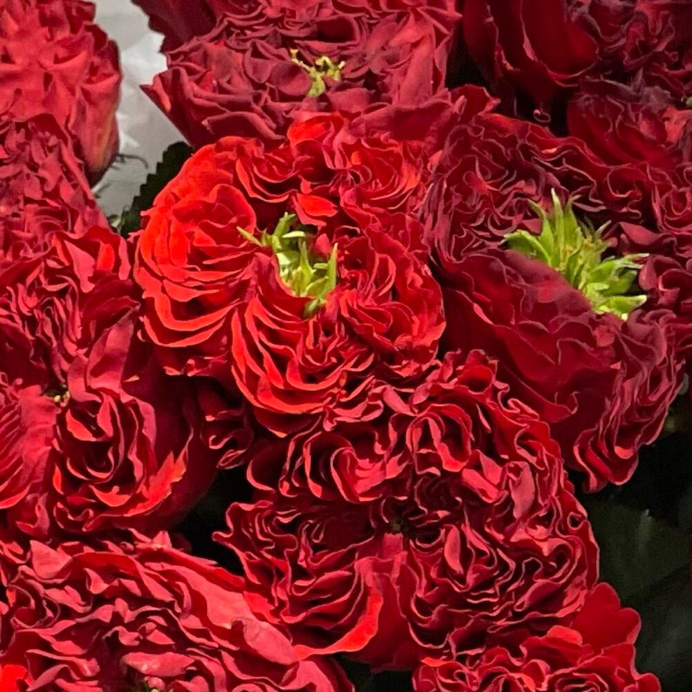 Букет "Rose"