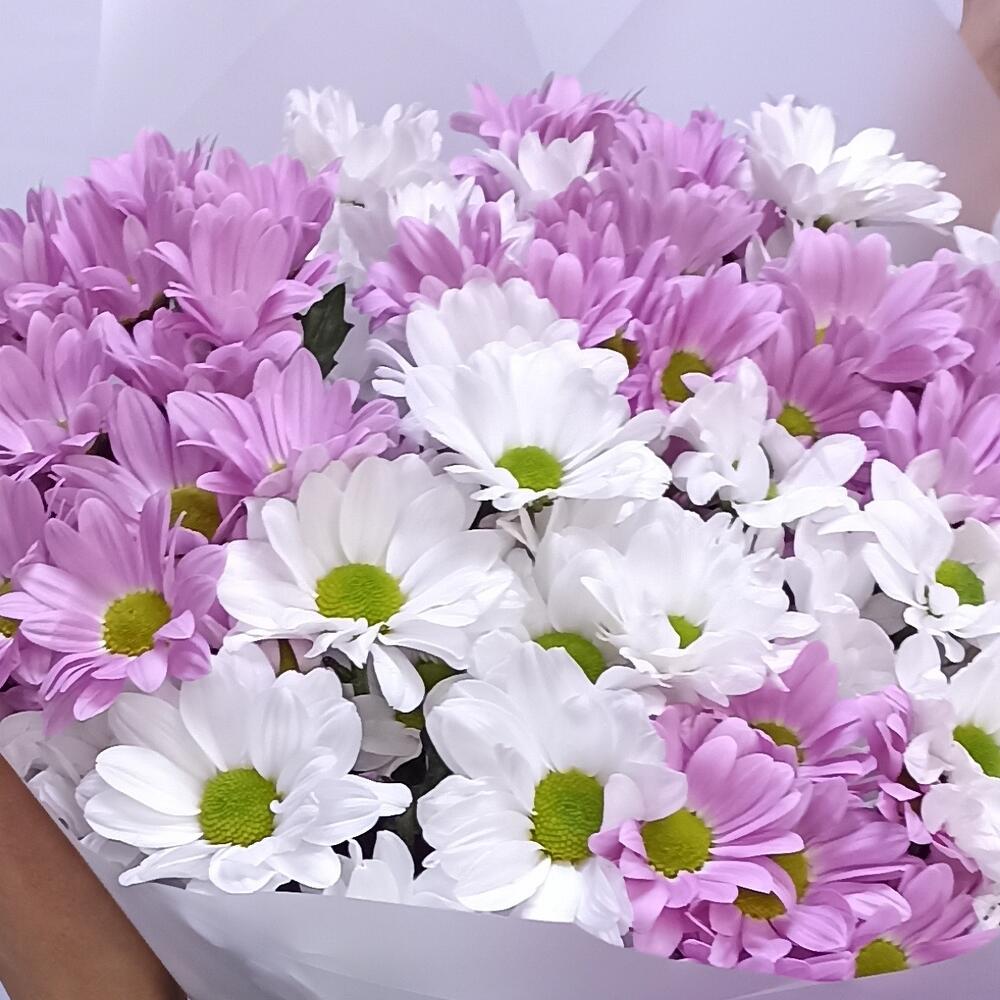💐Хризантема