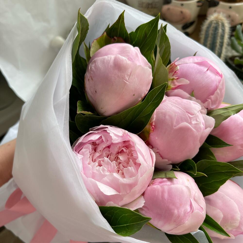 7 пионов розовые зефирки