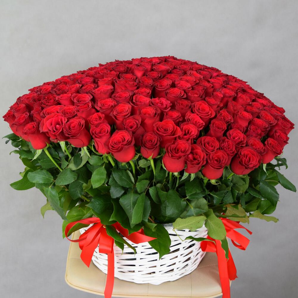 Корзина из 251 кенийской розы