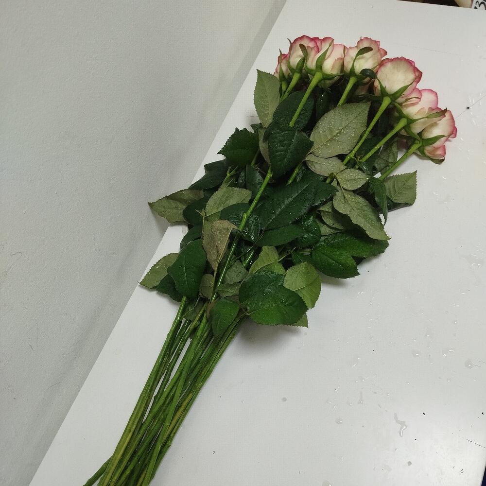 Карусель
