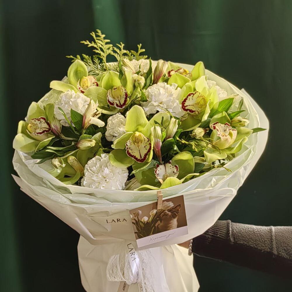 «White + Green»