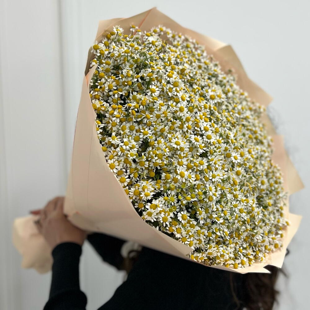 Солнечный лучик