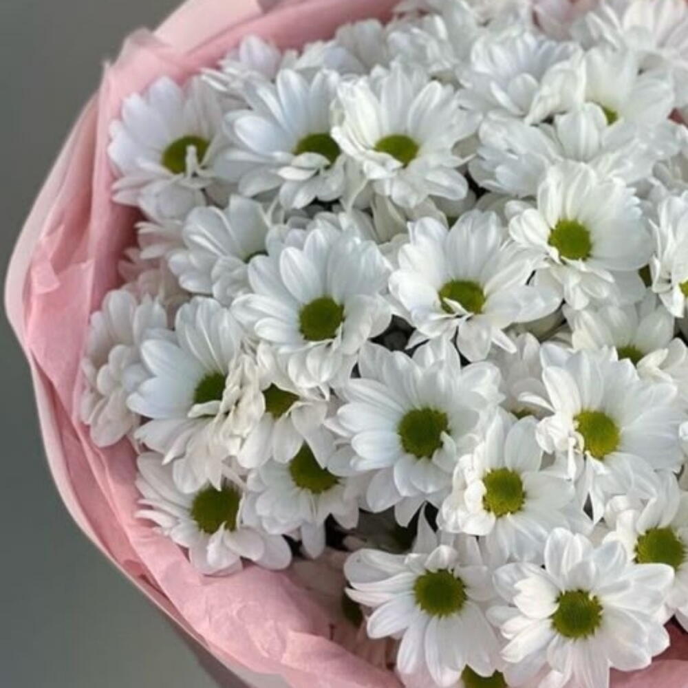 Зимняя сказка 🥰