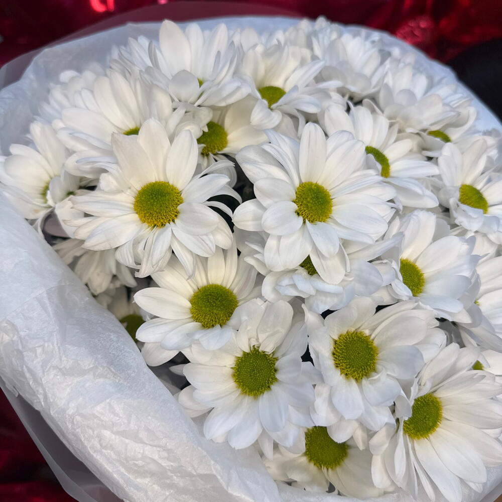 Букет из ромашек Легкость 💕