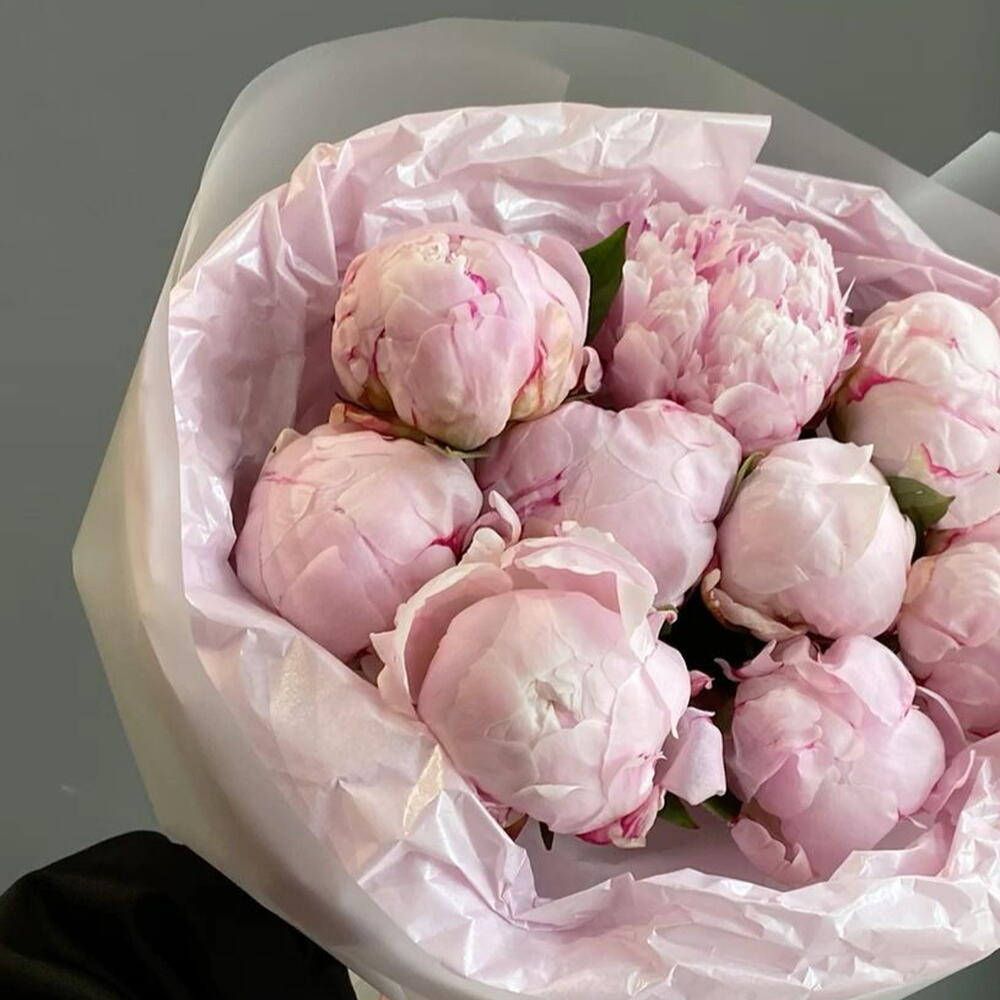 Нежный ароматный букет из Пионов 🎀🩰