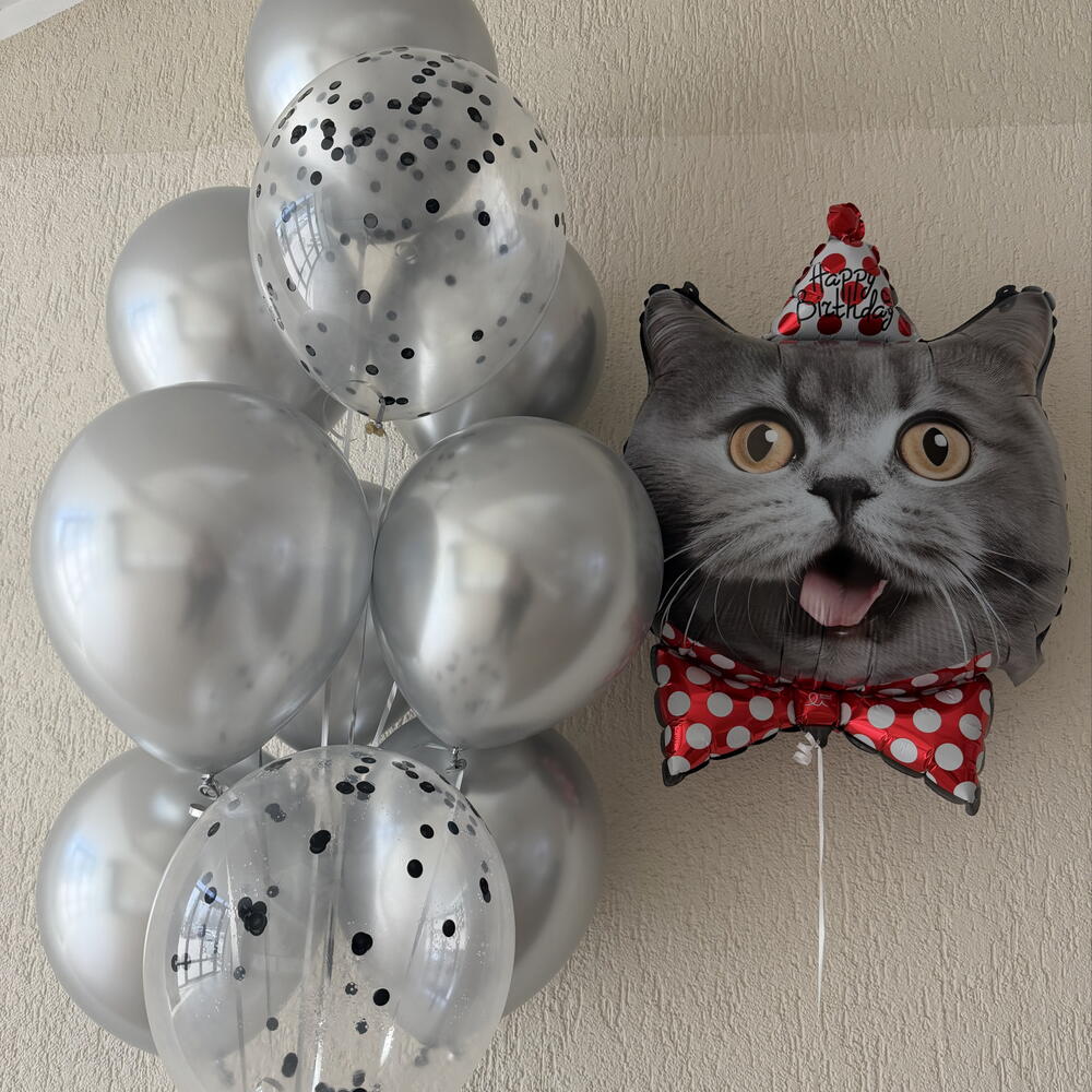 Шарики с котиком