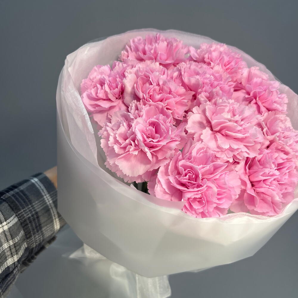 Нежное моно из розовых диантусов
