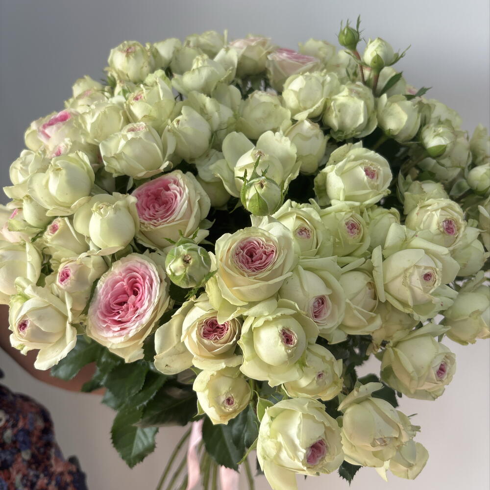 Кустовая 🌸 Роза