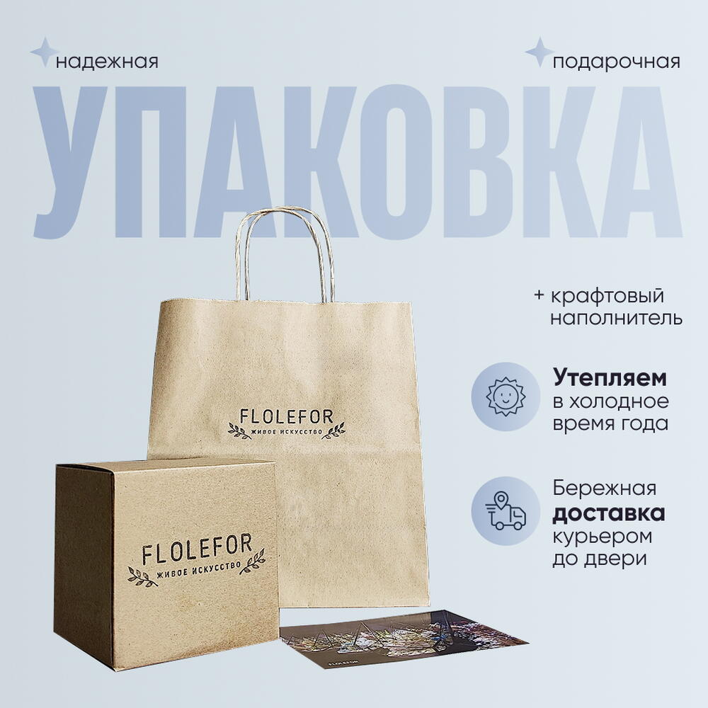 Флорариум «Фиттония-Мини» с пробковой крышкой