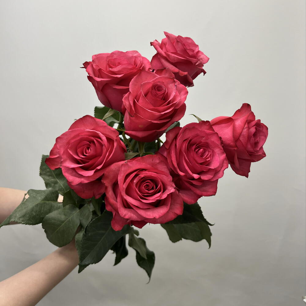 Букет из 7 розовых роз Лола