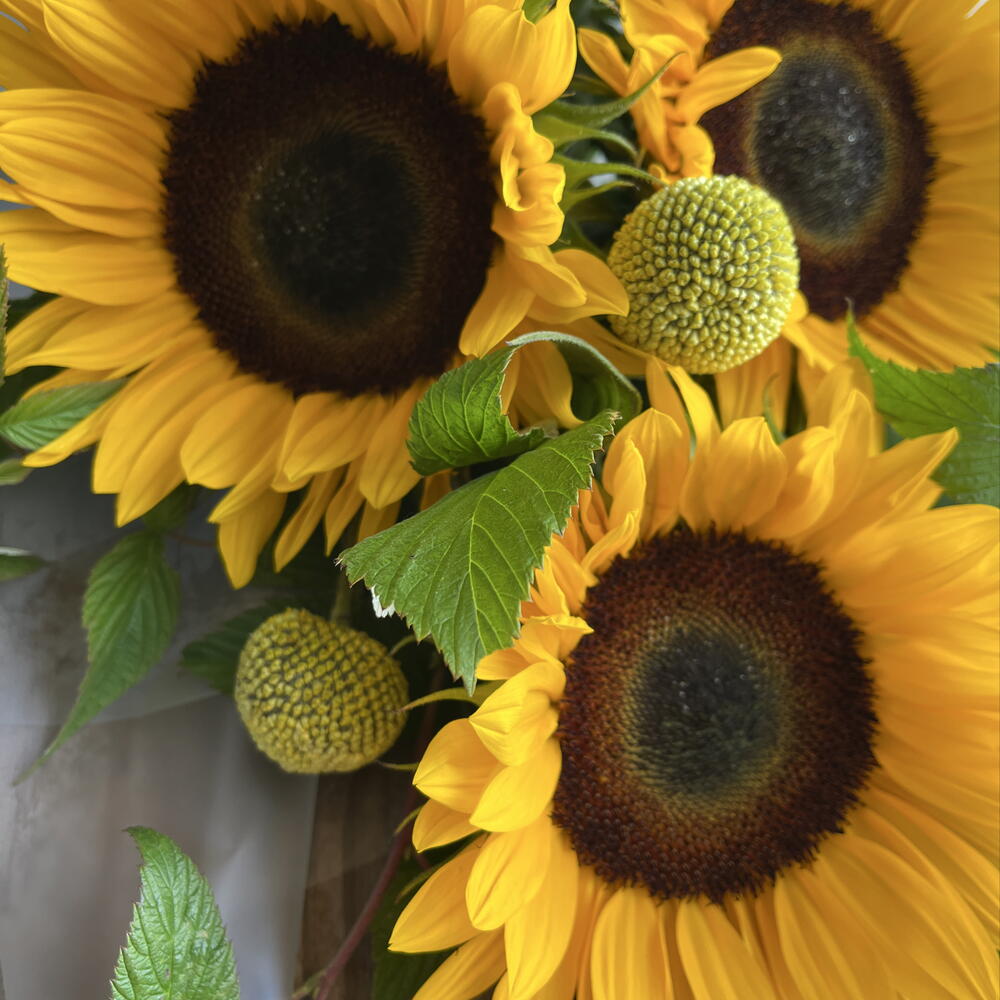 Букет солнечных подсолнухов 🌻