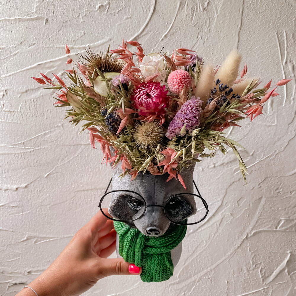 Енот