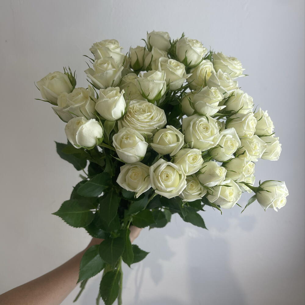 Кустовые розы белые