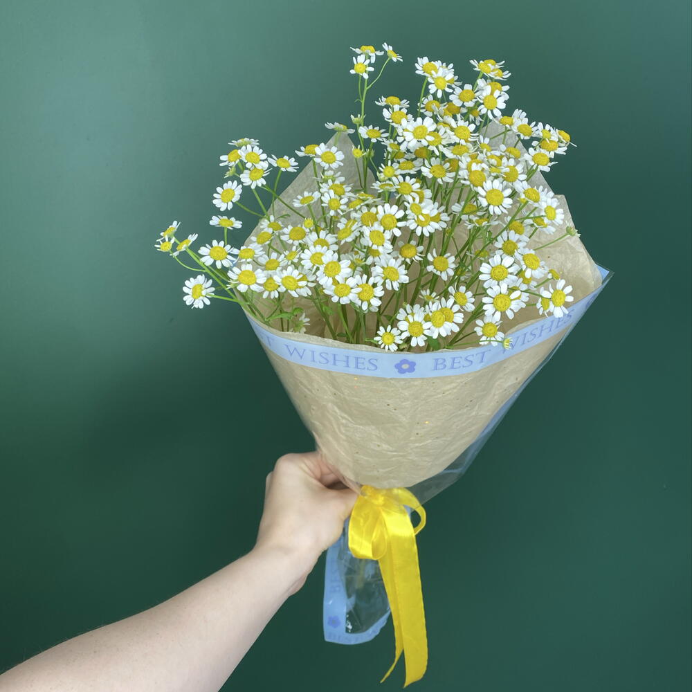 Букет-комплимент Ромашек Камилла