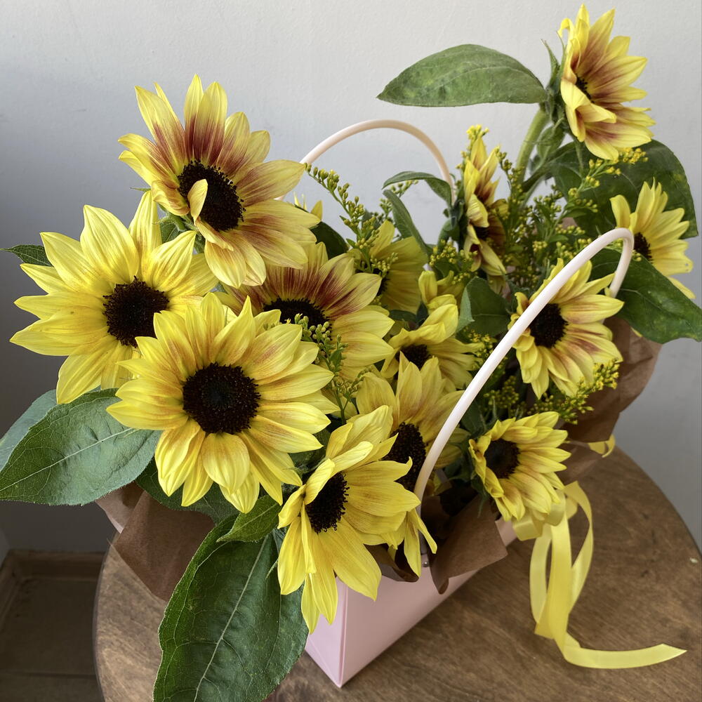 Солнечные подсолнухи 🌻
