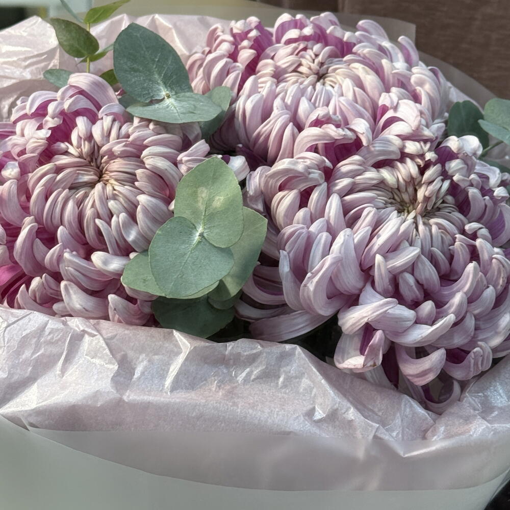 Букет с сезонной хризантемой Виена💕