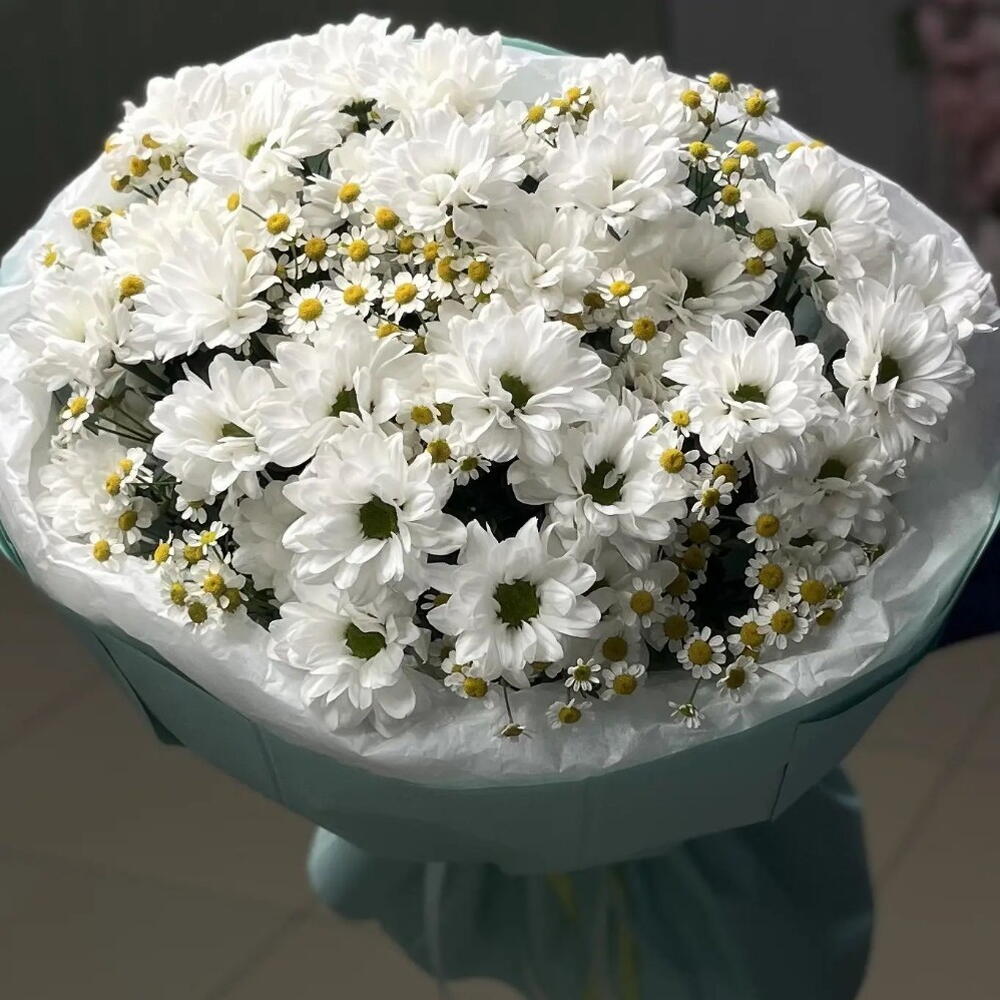 Палитра ромашек