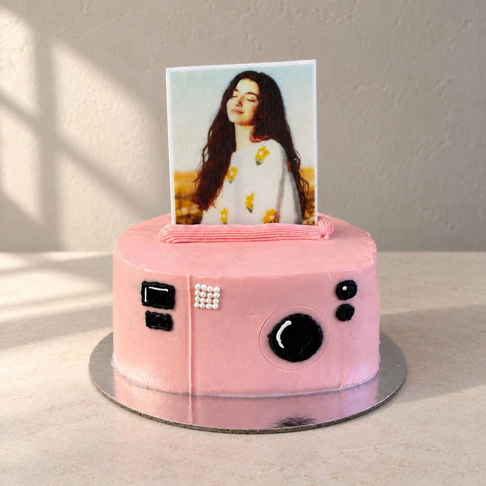 Pink Camera Cake