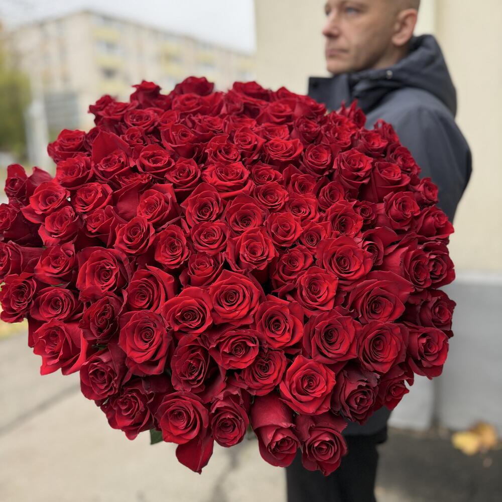 Шикарный букет из 101 метровой розы (Эквадор)