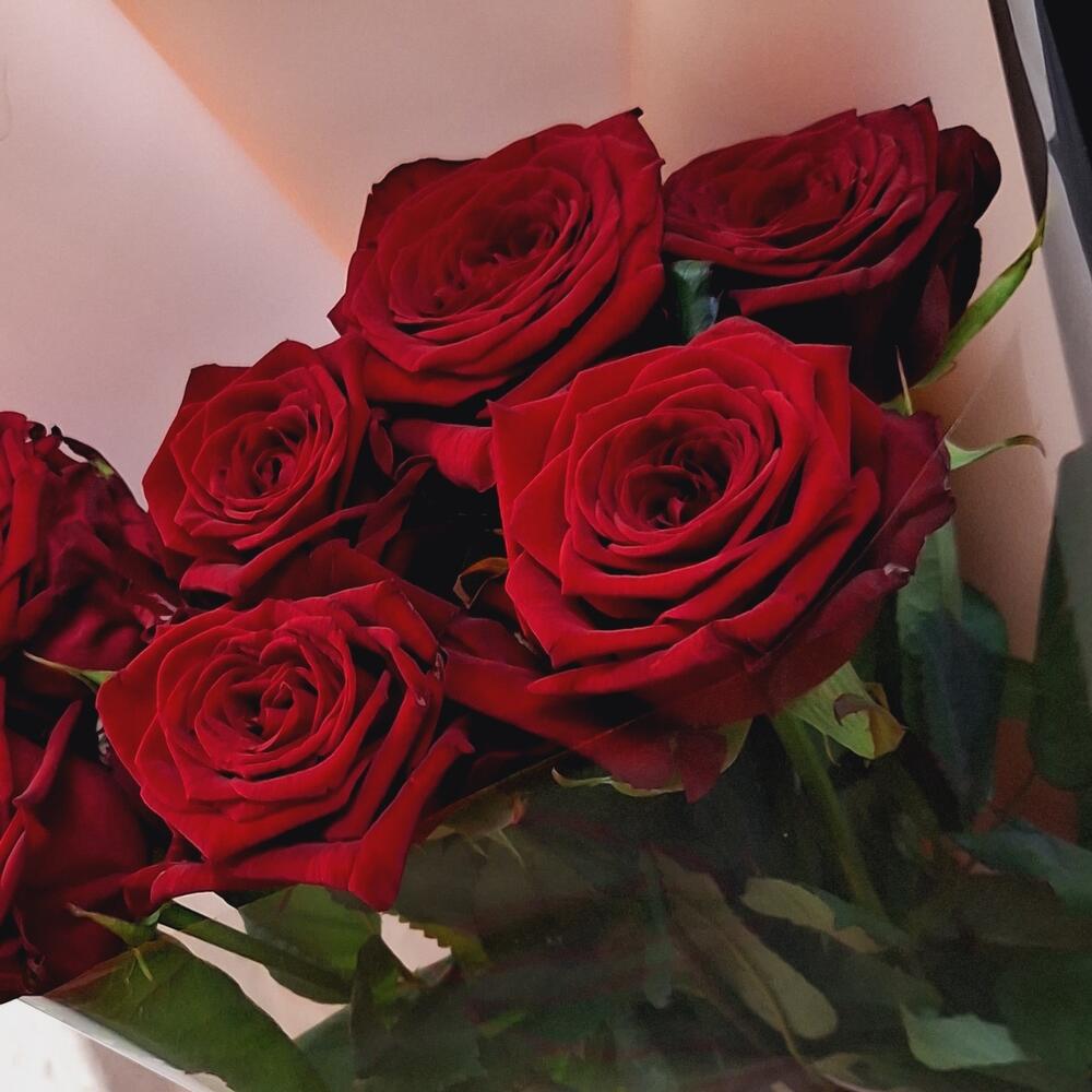 🌹7 роз красных (розы Россия)