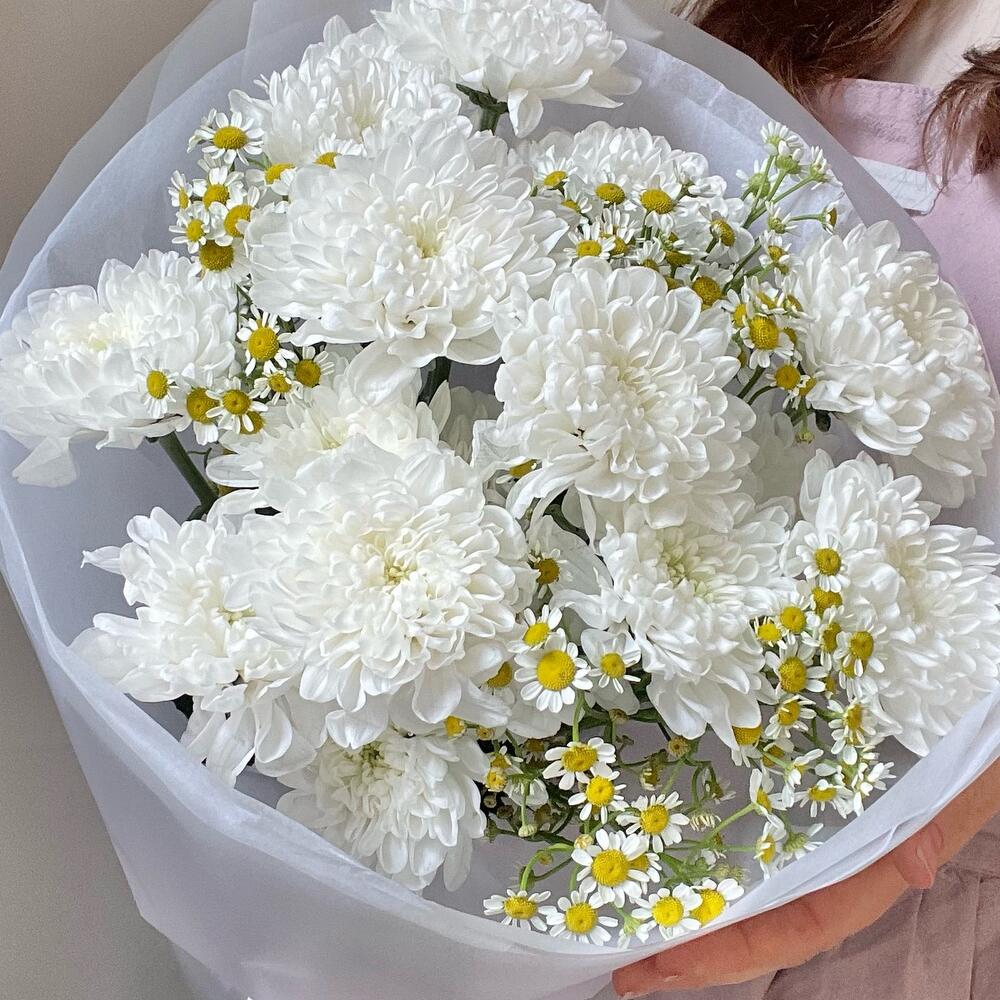 Хризантема, ромашка🌼