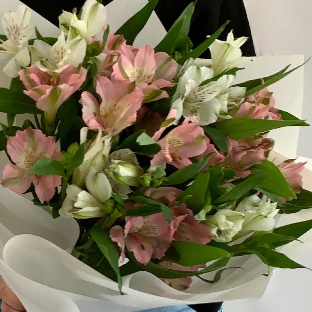 Стойкая альстромерия МОНО 💌