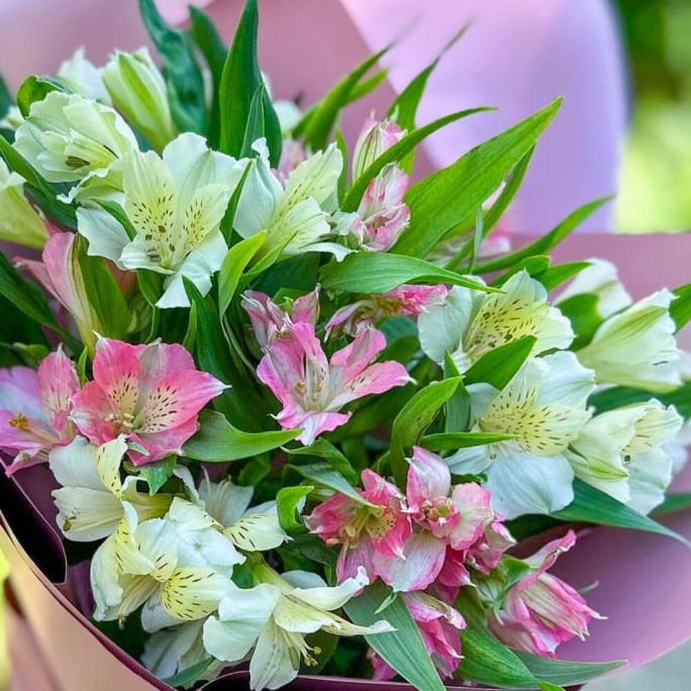 Bouquet of alstroemeria Perfomance