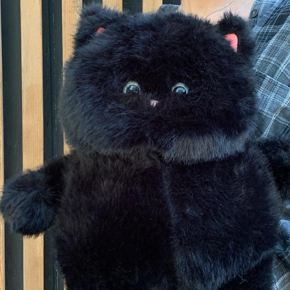 КОТ ЧЕРНЫЙ
