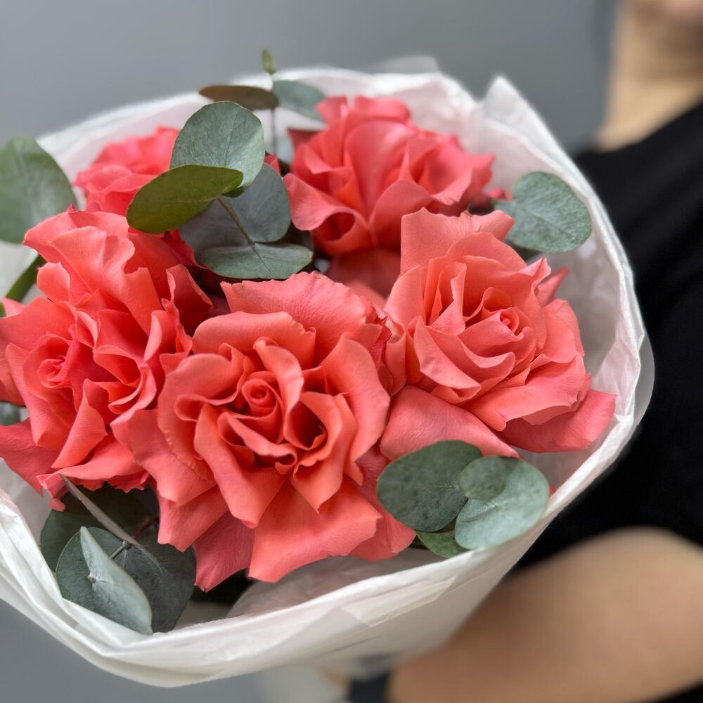 Французская Роза «Амстердам» ♥️