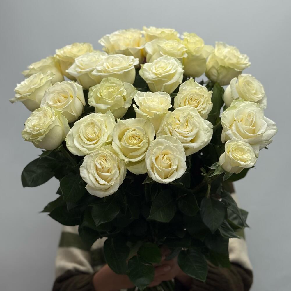Bouquet of 25 Mondial roses