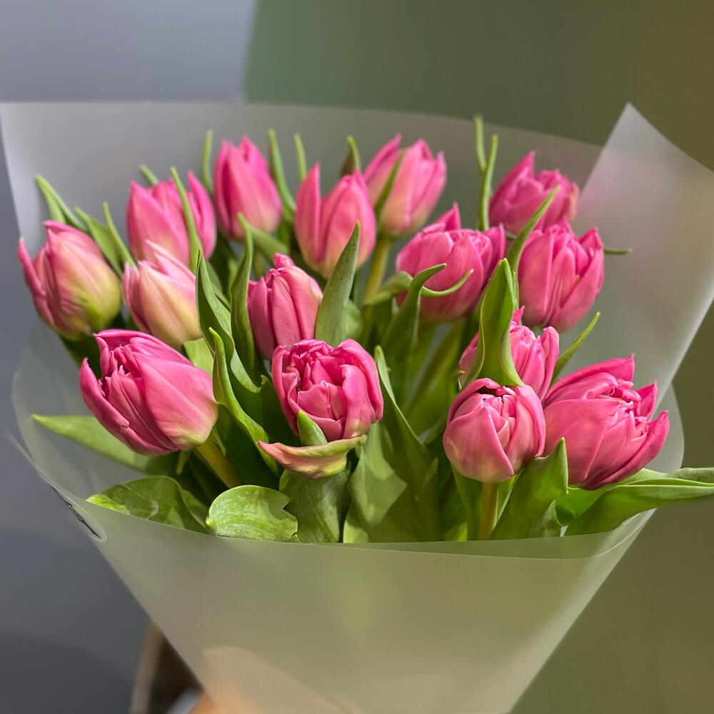 Малиновые пионовидные тюльпаны 15 штук 💐