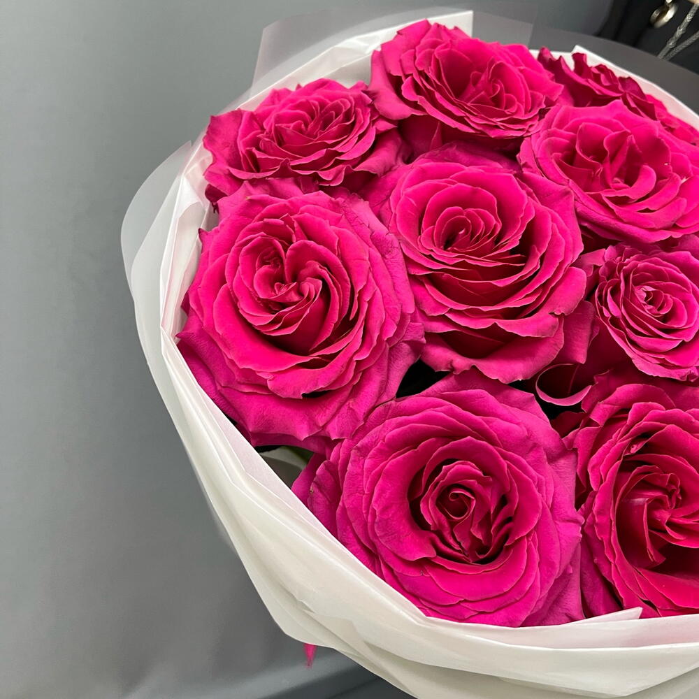 Малиновые розы 🌹  в упаковке с лентой (11 малиновых роз сорта Фулл Монти)