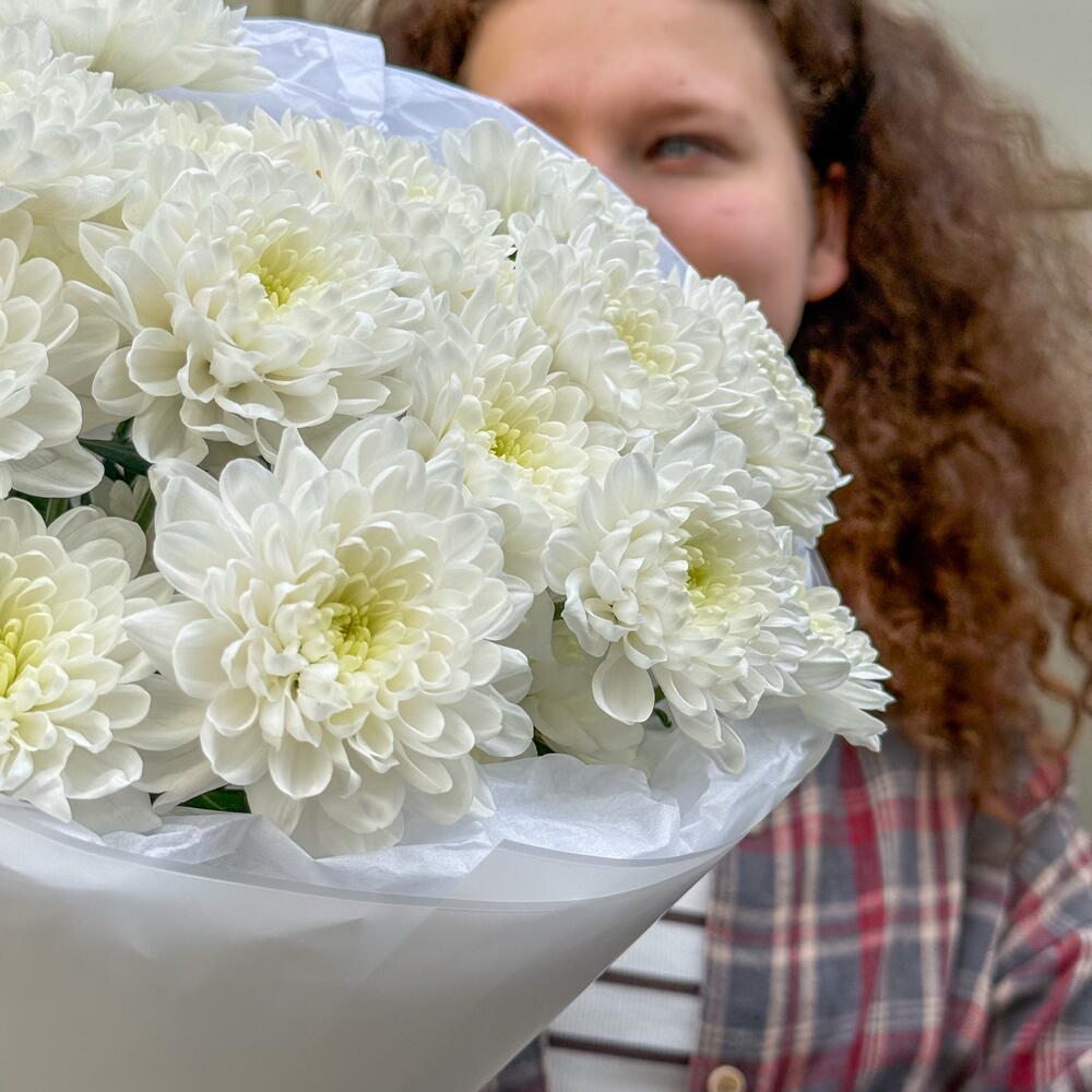 Моно Хризантема + сладкий подарок 🎁