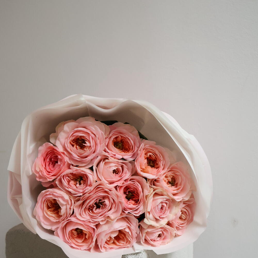 Elegant rose