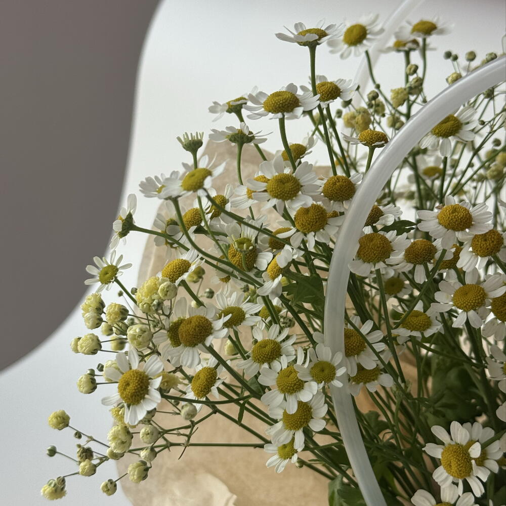 Сумка с ромашками 🌼