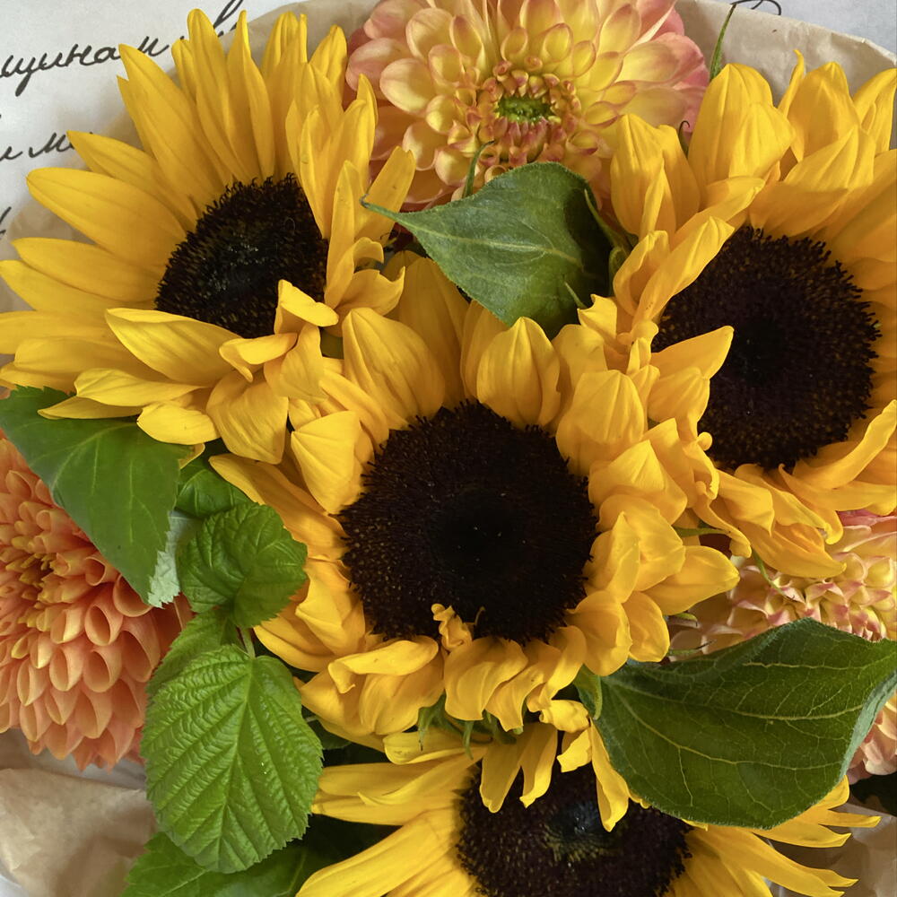 Тёплая осень🌻🍁букет из подсолнухов и георгин с листьями малины
